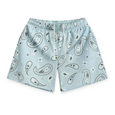 Bravest Sky Paisley V3 Light Blue Mesh Shorts
